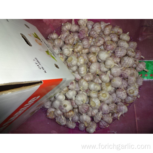 Fresh Normal White Garlic 5.0cm